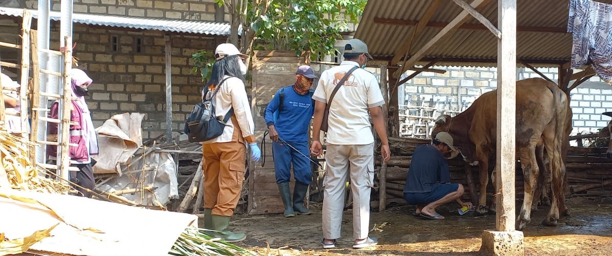 PMK Masih Berlanjut, Dinas Peternakan Tuban Turun Ke Desa Temandang